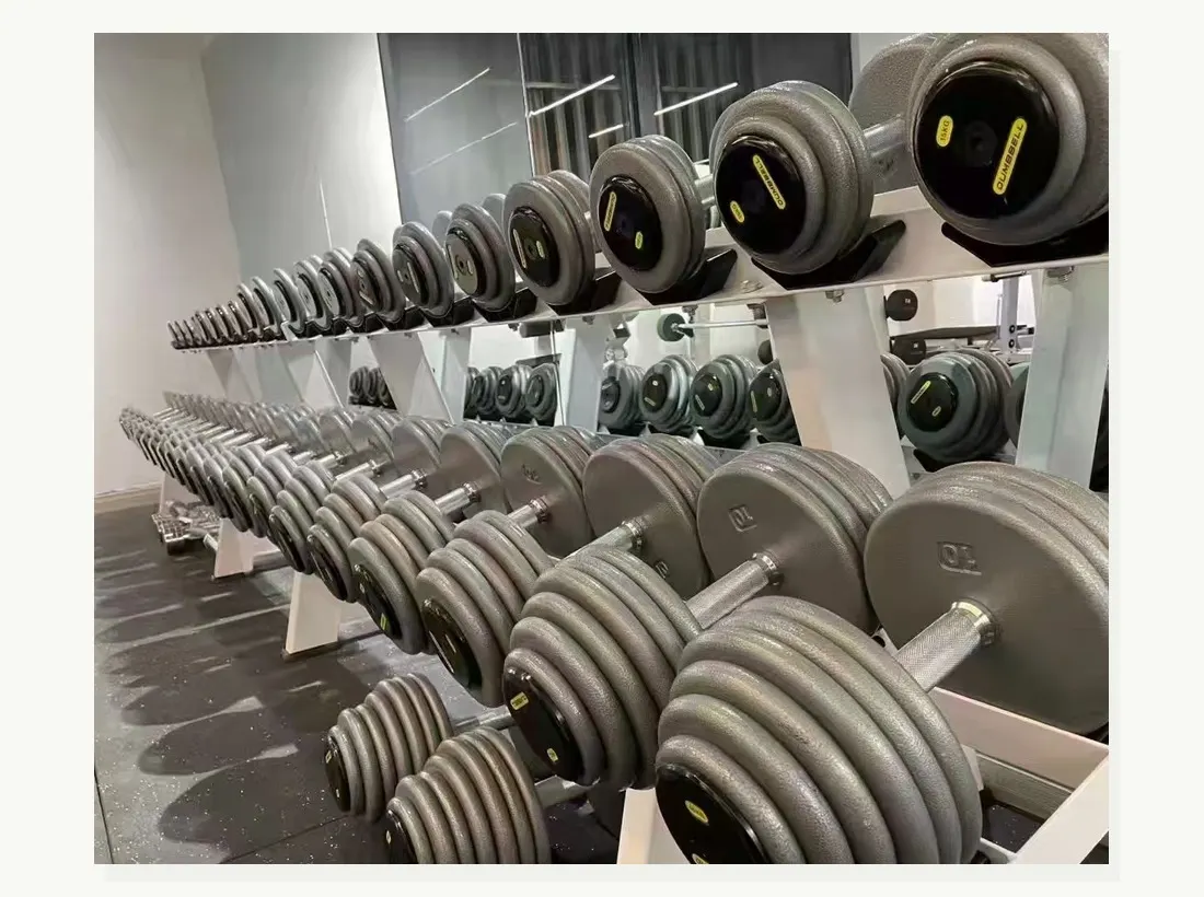 Dumbbell besi cor untuk gym profesional dan pengadaan B2B — tampilan 5