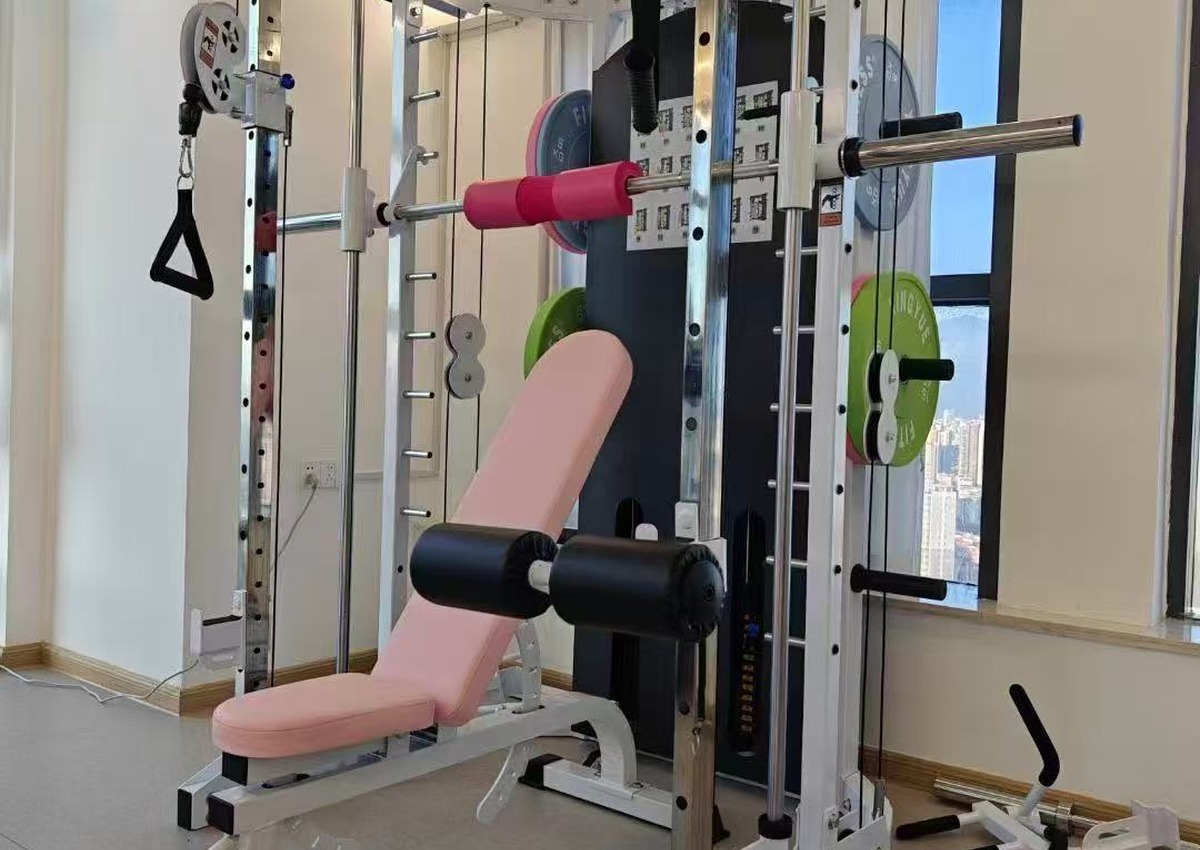 Home gym functional trainer customized for a private fitness room