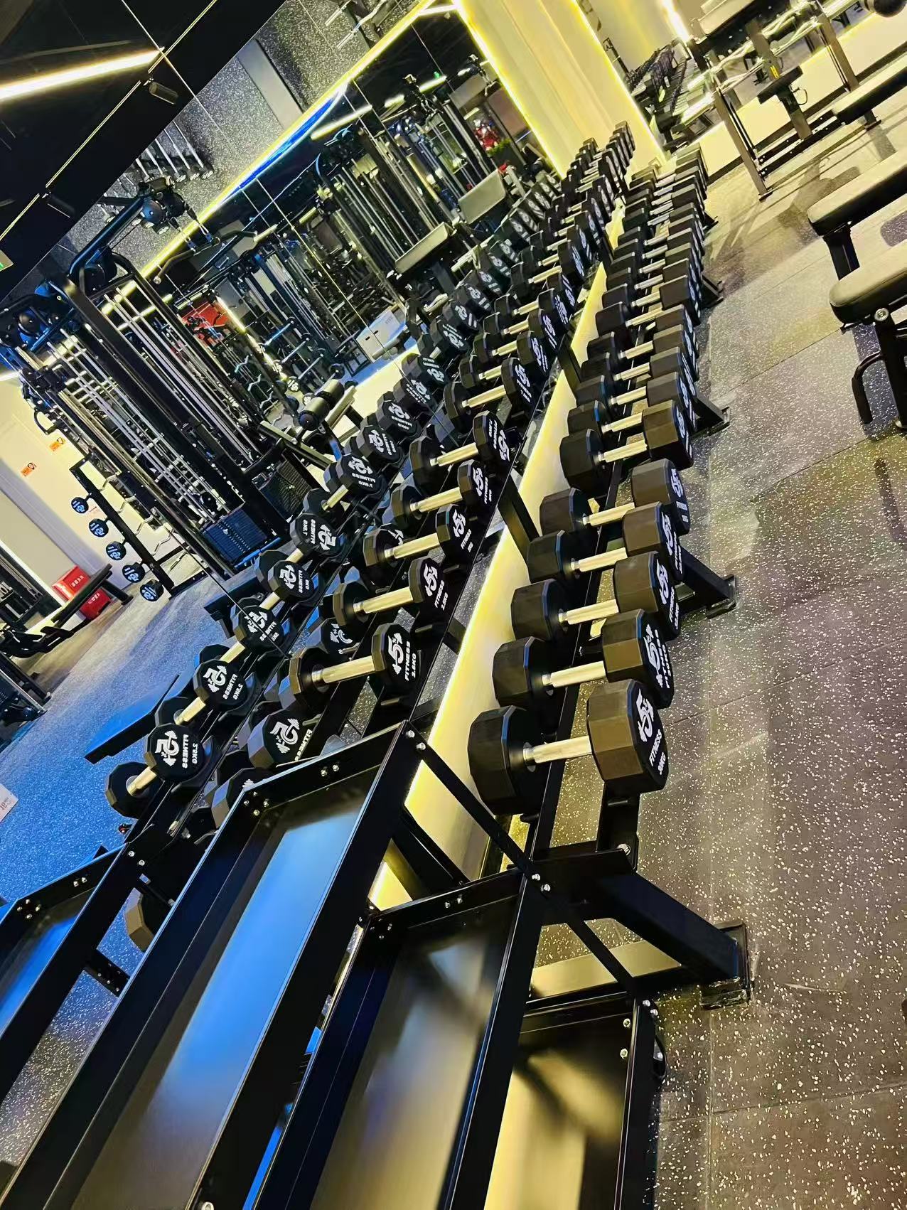 Commercial dumbbell rack zone project