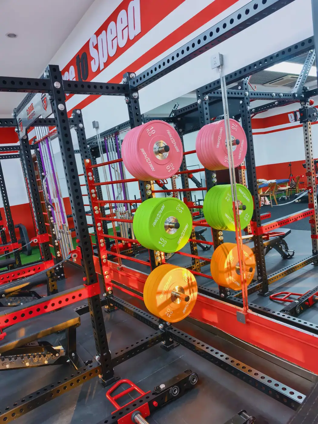 Custom logo weight plates stored on matching strength equipment racks in a fitness training facility
