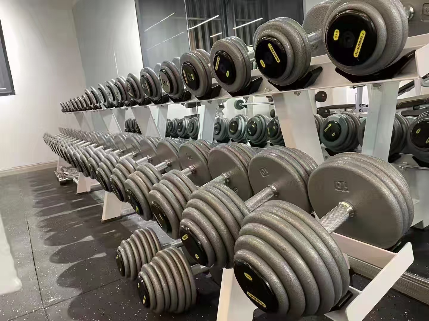 Premium Round Dumbbell Zone