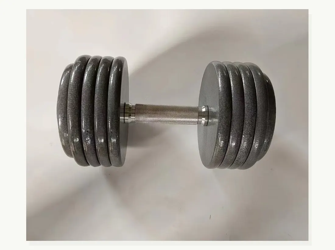 Haltère en fonte pour équipement de salle de sport professionnelle